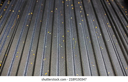 The Black Plastic Surface Is Wavy With Tiny Yellow Leaves.