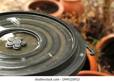 Black Plastic Water Tank And Lid With Water On Tank Lid After Raining In The Garden. Concept Of Aedes Mosquito Breeding Grounds.