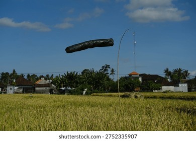 Black Plastic Wind Indicator Tubes Installed in Green Rice Field, Bali, Indonesia