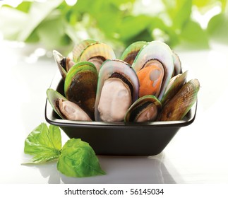 A black plate of New Zealand mussels with a white background