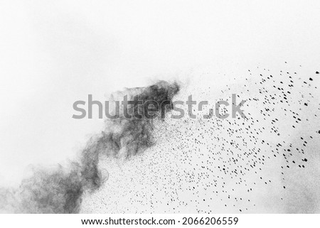 black powder explosion isolated on White background