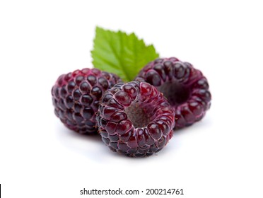 Black raspberry Cumberland isolated on white background