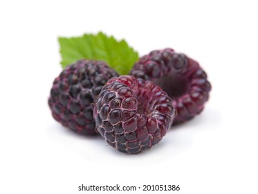 Black raspberry Cumberland isolated on white background; 