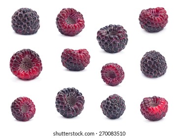 Black raspberry Cumberland set isolated on white background
