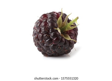 Black raspberry (Rubus idaeus) isolated on white