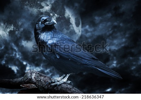 Black raven in moonlight perched on tree. Scary, creepy, gothic setting. Cloudy night with full moon. Halloween