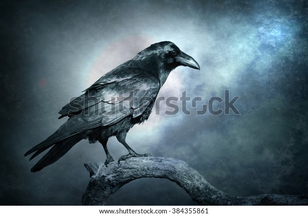 Black Raven Moonlight Perched On Tree Stock Photo 384355861 | Shutterstock