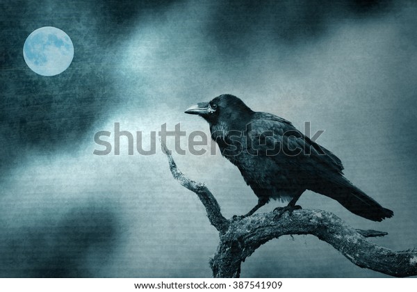 Black Raven Moonlight Perched On Tree Stock Photo (Edit Now) 387541909