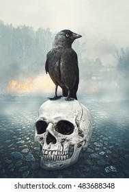 Black raven on the skull. Halloween mystical scene