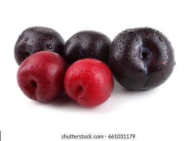 Black And Red Plums