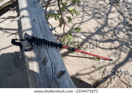 a black and red walking pole leans against a bleached wood log on the sand with shadows of branches nearby