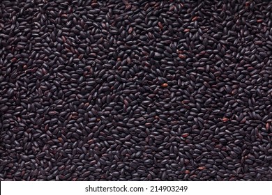 Black Rice