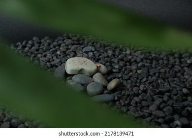 Black River Stone With Green Leaves For Background.