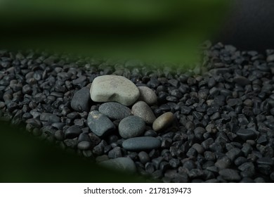 Black River Stone With Green Leaves For Background.