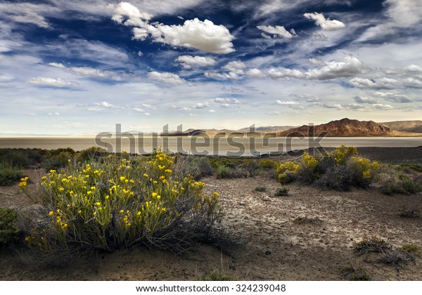 Black Rock Desert,\
Nevada