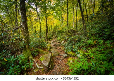 The Black Rock Nature Trail, at Grandfather Mountain, North Carolina.