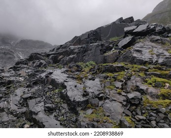 Black Rocks Covered With Bright Green Moss