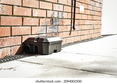 Black Rodent Bait And Trap Station Being Used Outside A Building To Control Rats. 