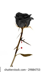 Blood Rose Images Stock Photos Vectors Shutterstock