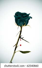 A Black Rose On An Emo Background With Blood