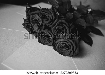 Black roses on a white background. Black and white photo of flowers. Mourning flowers.