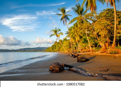 The black sand beach of Bahia Drake at sunset