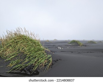 Black sand dunes on beach in Stokksnes, Iceland