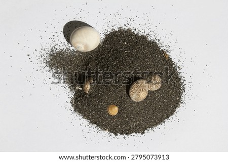 It is black sand and seashells.