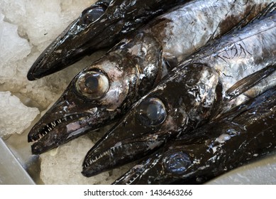 Black Scabbardfish At A Fish Market In Madeira - One Of The Most Famous Sea Products Of That Region. Binomial Name: Aphanopus Carbo. Family: Trichiuridae (cutlassfish).