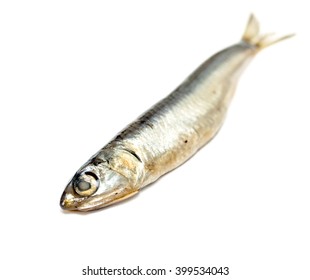 Black Sea Anchovy Fish Isolated On White Background