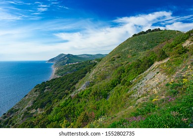 Black Sea Coast Sukko Anapa