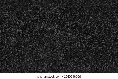 Black Shagreen Stingray Skin Texture Seamless