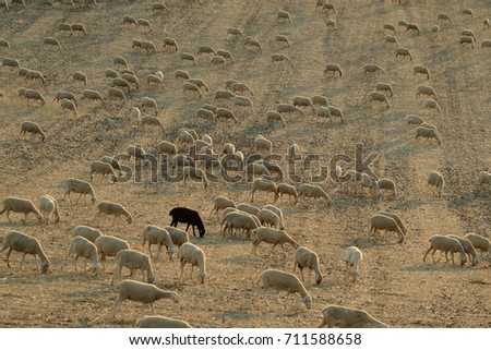 Similar – Image, Stock Photo mow grass Colour photo