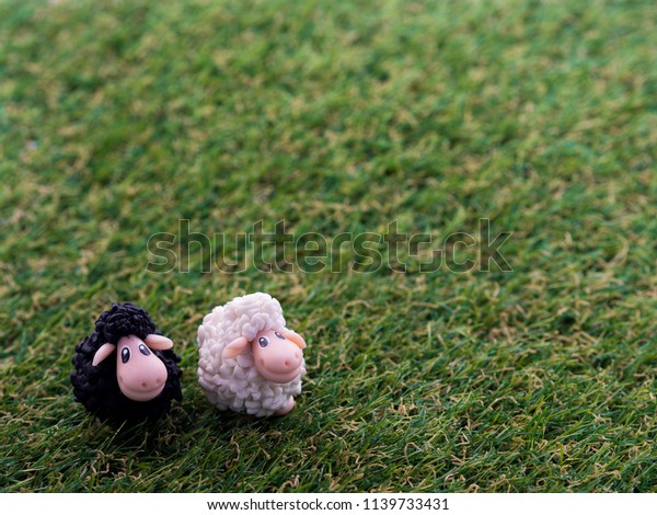 black sheep doll