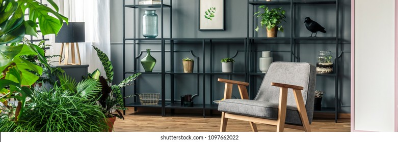 Black shelves with ornaments standing next to a grey wall and behind plants and a chair in botanic room interior