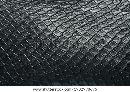 Black shiny crocodile skin background macro close up view