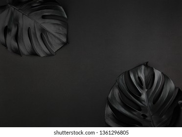 Black Shiny Monstera Leaves Creative Layout On Dark Paper Background Flatlay. Unusual Artistic Luxurious Cosmetics Concept.