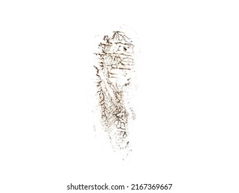 Black shoe print isolated on white background