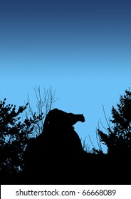 Black Silhouette Of Cougar Stalking Prey From A Big Boulder Rock On Top Of A Mountain In The Early Morning Or Night.