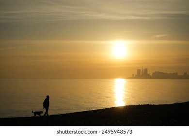 black Silhouette of man walking with their dogs at the beach. one male walking. walk at sunset. Walking dog on coastline at sunset. sunray. Batumi Georgia - Powered by Shutterstock