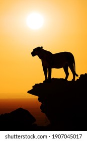 Black Silhouette Of A Standing Lion On The Top Of A Mountain Watching The Sunset Over The African Savanna; Concept And Background For Safari And Travel Africa