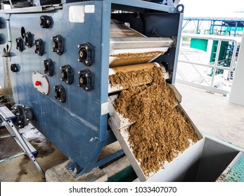 Black Sludge Disposal From Clarify Tank In Power Plant. 