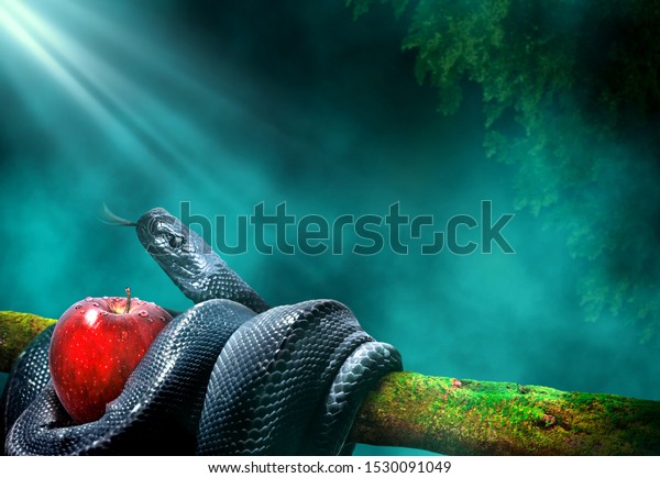 Black snake with an apple fruit in a branch of a\
tree. Forbidden fruit\
concept.