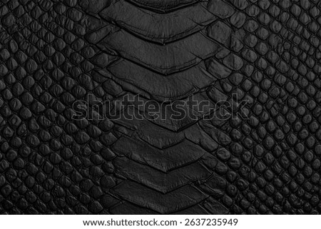 Black snake Leather background texture