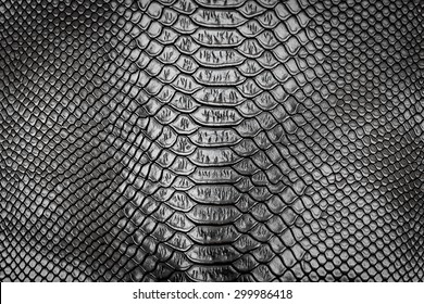 Black Snake Skin Pattern Texture Background