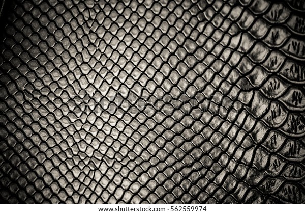 Black snake skin\
pattern texture\
background