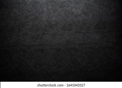 black snake skin texture background