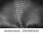 Black snake skin texture pattern can see the surface details use for background