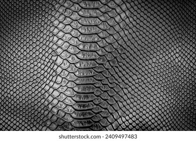 Black snake skin texture pattern can see the surface details use for background