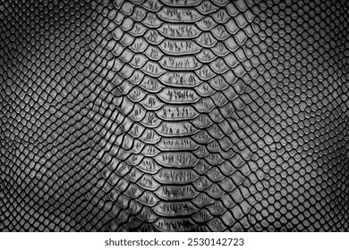 Black snake skin texture pattern can see the surface details use for background